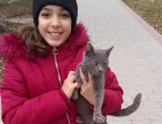 Четвероклассница из Приднестровья помогает кормить и стерилизовать бездомных животных